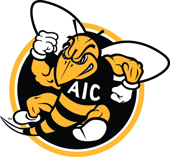 AIC Yellow Jackets 2009-Pres Alternate Logo v2 diy fabric transfer